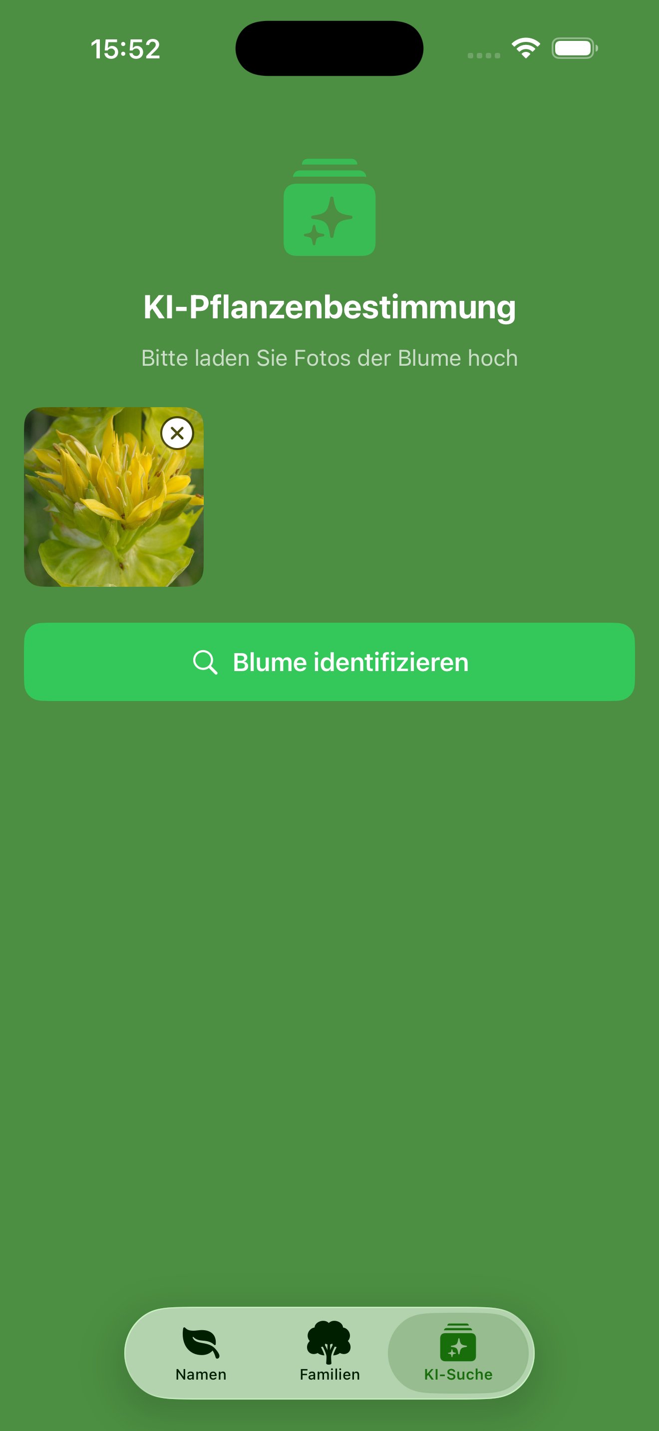 KI-Pflanzenbestimmung